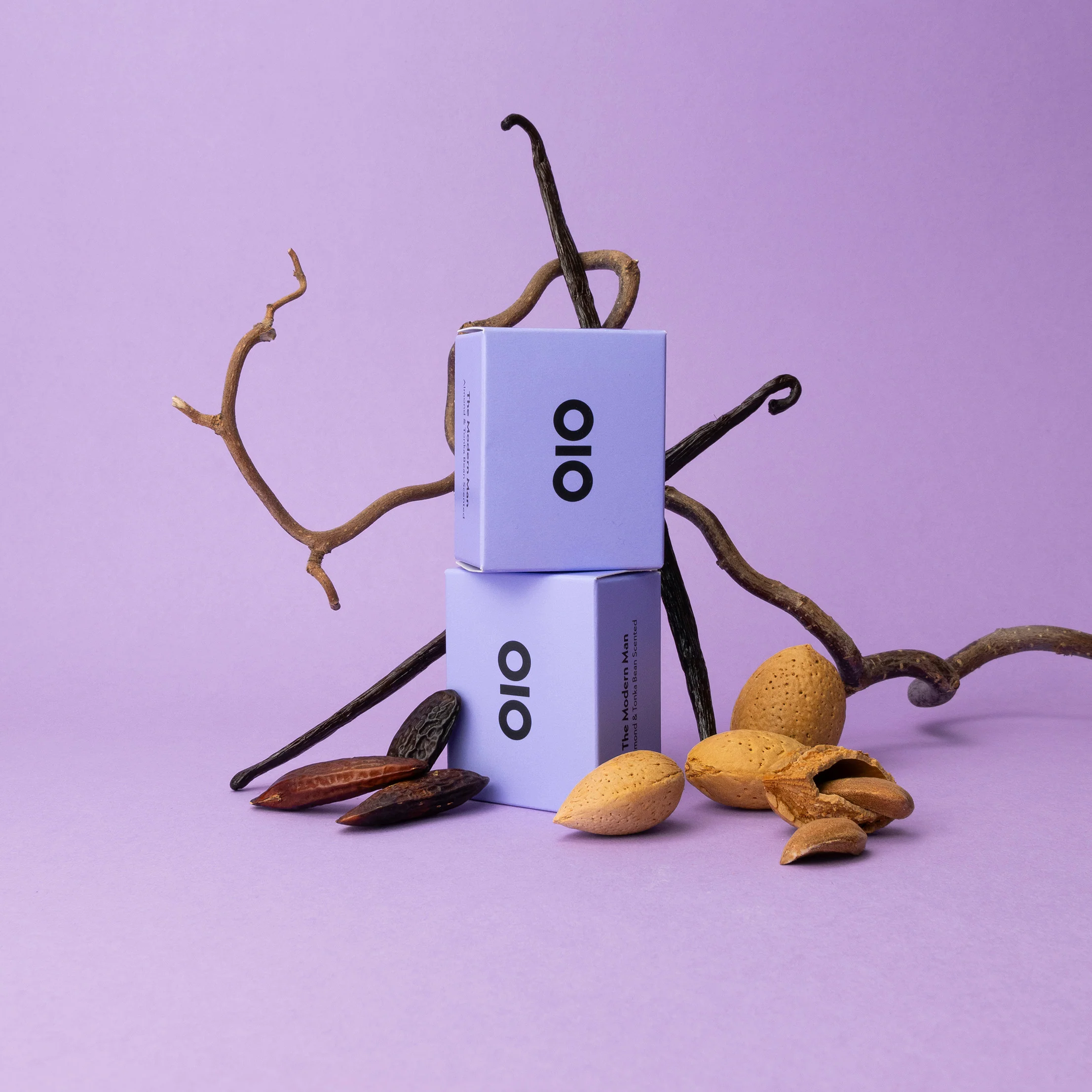 The Ordinary Man - Image 3